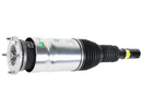 Land Rover Range Rover 2013-2018 Strut - Arnott Industries LR087081
