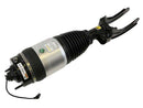 Air Suspension Strut - Arnott Industries AS3236