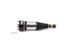Shock Absorber - Arnott Industries AS2891