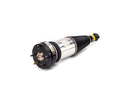 Shock Absorber - Arnott Industries AS2891