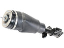 Land Rover Range Rover 2010-2012 Strut - BWI LR032570