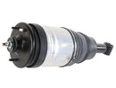 Land Rover LR4 2010-2016 Shock Absorber - BWI LR038096