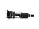 Air Suspension Strut - Arnott Industries AS3351