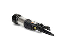 Mercedes-Benz E-Class 2004-2009 Shock Absorber - Arnott Industries 2113209613