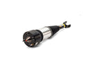Jaguar XJ 2003-2009 Strut Assembly - Arnott Industries C2C41339