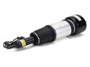 Mercedes-Benz S-Class 2003-2006 Strut - Arnott Industries 2203202138