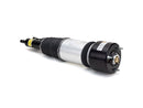 Mercedes-Benz S-Class 2003-2006 Strut - Arnott Industries 2203202138