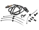 Volkswagen Jetta, Passat, Beetle, Eos, R32, Rabbit & More 2005-2018 Oxygen Sensor - Bosch 1K0998262N