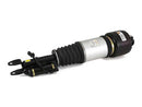 Mercedes-Benz CLS-Class, E-Class 2003-2011 Shock Absorber - Arnott Industries 2113205438