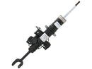 BMW 5 Series 2011-2013 Strut - Sachs 37116796856