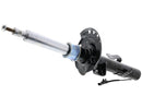 Land Rover Range Rover Evoque 2012-2018 Strut Assembly - BWI LR079422