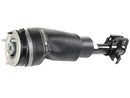 Land Rover Range Rover 2010-2012 Strut - BWI LR032563
