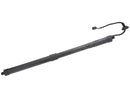Volvo XC40 2019-2022 Hatch Shock - Pro Parts 32399277