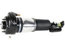 BMW 7 Series 2016-2022 Strut - Arnott Industries 37107915954