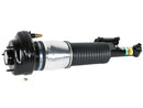 BMW 7 Series 2016-2022 Strut - Arnott Industries 37107915953
