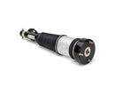 Mercedes-Benz S-Class 2007-2013 Strut - Arnott Industries 2213209313