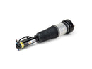 Mercedes-Benz S-Class 2007-2013 Strut - Arnott Industries 2213209313