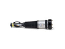 Mercedes-Benz S-Class 2007-2013 Strut - Arnott Industries 2213209313