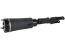 Mercedes-Benz R-Class 2006-2012 Shock Absorber - Arnott Industries 2513205713