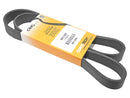 Mercedes-Benz CL-Class, CLS-Class, E-Class, G-Class, S-Class, SL-Class 2003-2011 Belt 8K X 1289 - Continental 1139970192