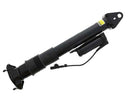 Mercedes-Benz R-Class 2006-2012 Shock Absorber - Arnott Industries 2513203431