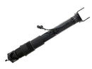 Mercedes-Benz R-Class 2006-2012 Shock Absorber - Arnott Industries 2513203431