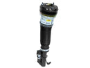 Mercedes-Benz S-Class 2000-2006 Strut - Arnott Industries 2203202438