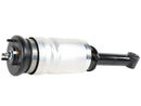 Land Rover Range Rover Sport 2006-2013 Strut - BWI LR041108