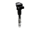 Volkswagen Phaeton, Touareg 2004-2006 Ignition Coil - Delphi 077905115AA