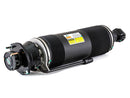 Mercedes-Benz SL-Class 2003-2006 Shock Absorber - Arnott Industries 230320021388