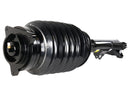 Mercedes-Benz CLS-Class 2012-2018 Strut - Arnott Industries 2183206513