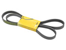 Belt 6K X 1878 - Continental 6K1878