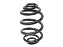 BMW 3 Series 1999-2006 Coil Spring - Suplex 06165