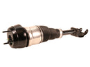 Mercedes-Benz GL-Class, GLS-Class 2013-2019 Suspension Strut Assembly - O.E.M. 1663205066