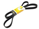 Belt 6K X 2523 - Continental 6K2523