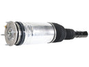 Land Rover Range Rover 2014-2017 Air Suspension Strut - BWI LR087085