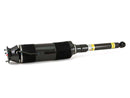 Mercedes-Benz CL-Class, S-Class 2003-2006 Shock Absorber - Arnott Industries 220320183888