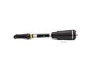 Mercedes-Benz GL-Class, M-Class 2007-2012 Shock Absorber - Arnott Industries 164320611339