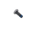 Mercedes-Benz S-Class, E-Class, SL-Class, CL-Class, 230 Brake Caliper Bolt - O.E.M. 1234210271