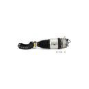 Air Suspension Strut - Arnott Industries AS3057