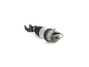 Air Suspension Strut - Arnott Industries AS3057