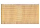 Jaguar XK 2007-2009 Air Filter - Mahle C2P6500